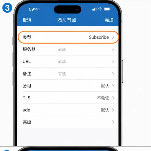 Shadowrocket 节点类型选择 Subscribe